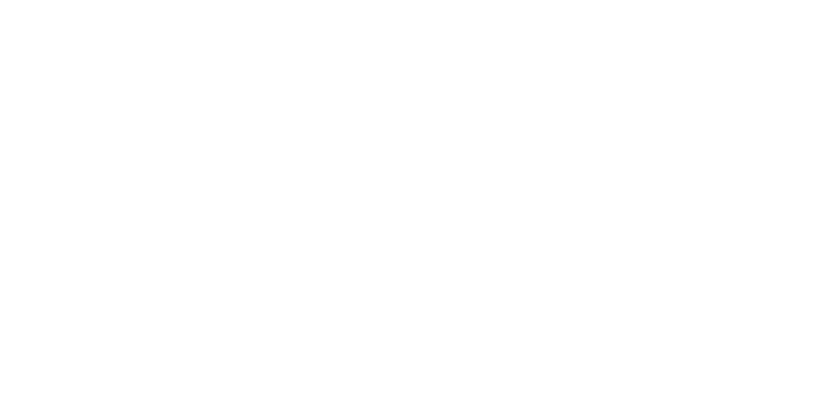 D(LT)^2 LAB Logo